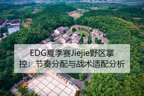EDG夏季赛Jiejie野区掌控：节奏分配与战术适配分析